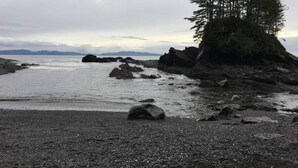 A rocky beach with a tree and distant mountains.