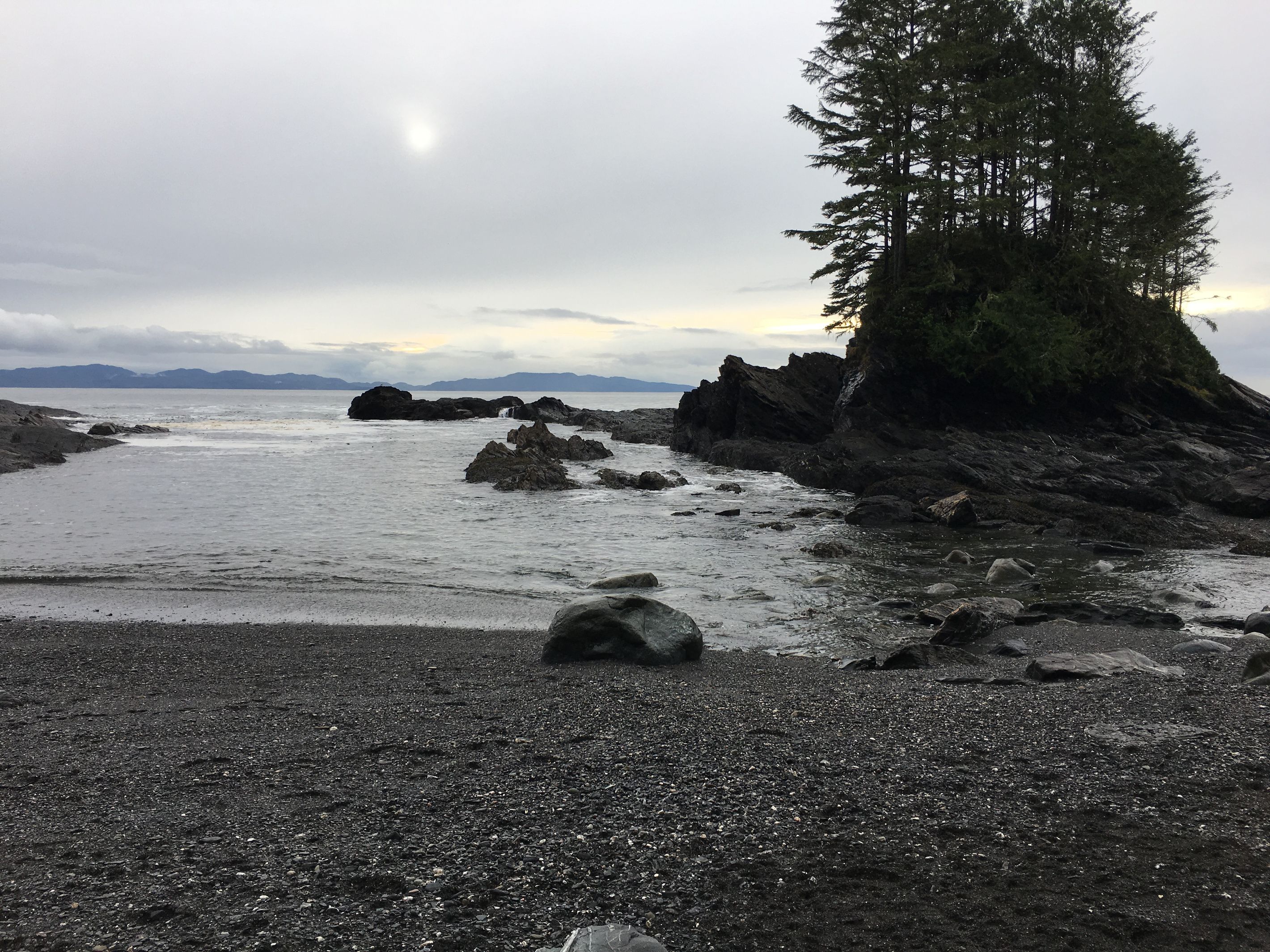 A rocky shoreline with a tree and distant mountains.