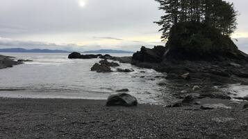 A rocky shoreline with a tree and distant mountains.