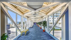 A corridor with a blue carpet, yellow bench, potted plants, and large windows. - Beautiful 17th Floor Views! Free Activities + Summer Deals!! (Panama City Beach)
