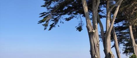 Platja a a prop i gandules de platja