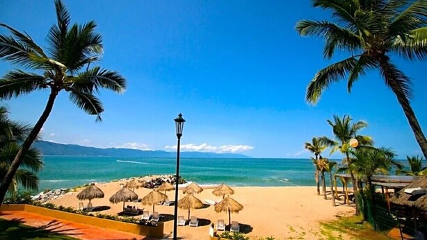 A beach with palm trees, a clear blue sky, and a view of the ocean.