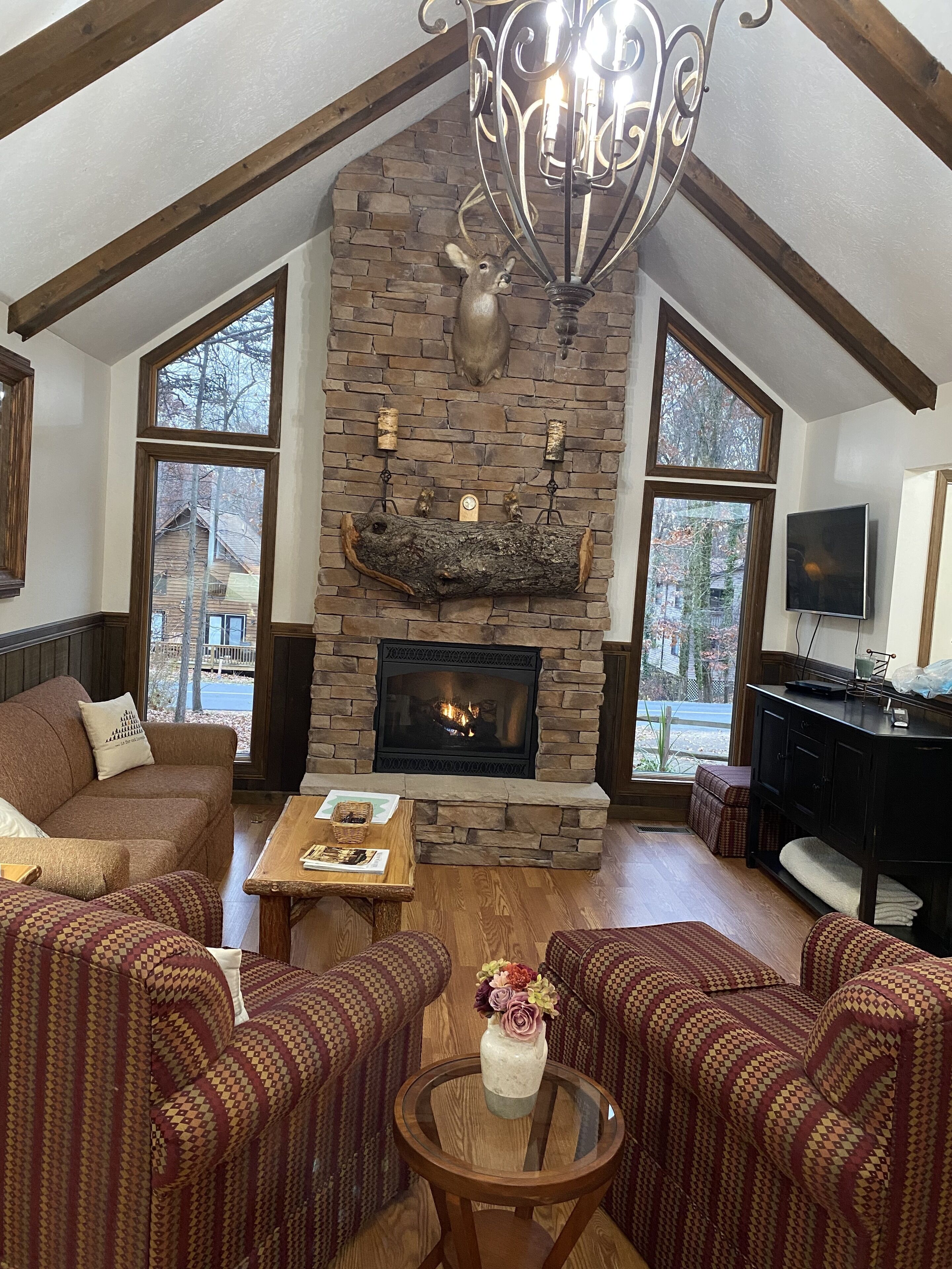 Smart TV, chimenea, reproductor de DVD y videoteca 