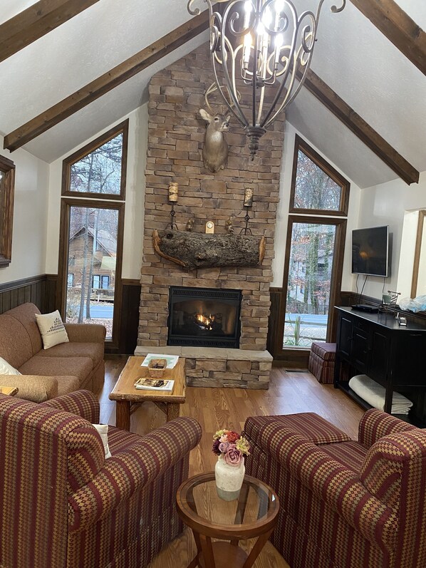 TV connectée, cheminée, lecteur de DVD, vidéothèque