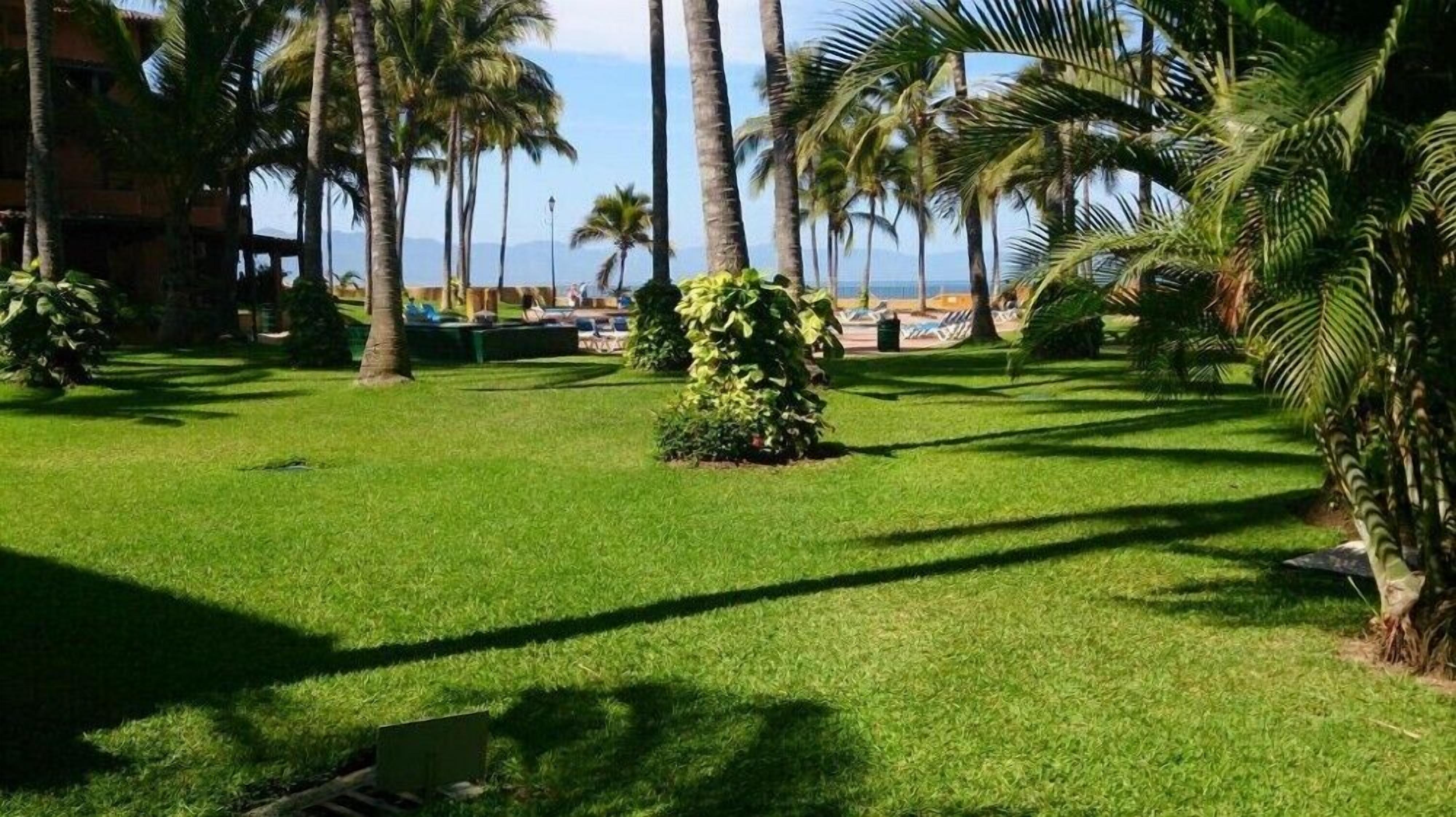 Une pelouse bien entretenue, agrémentée de palmiers et offrant une vue sur la plage.