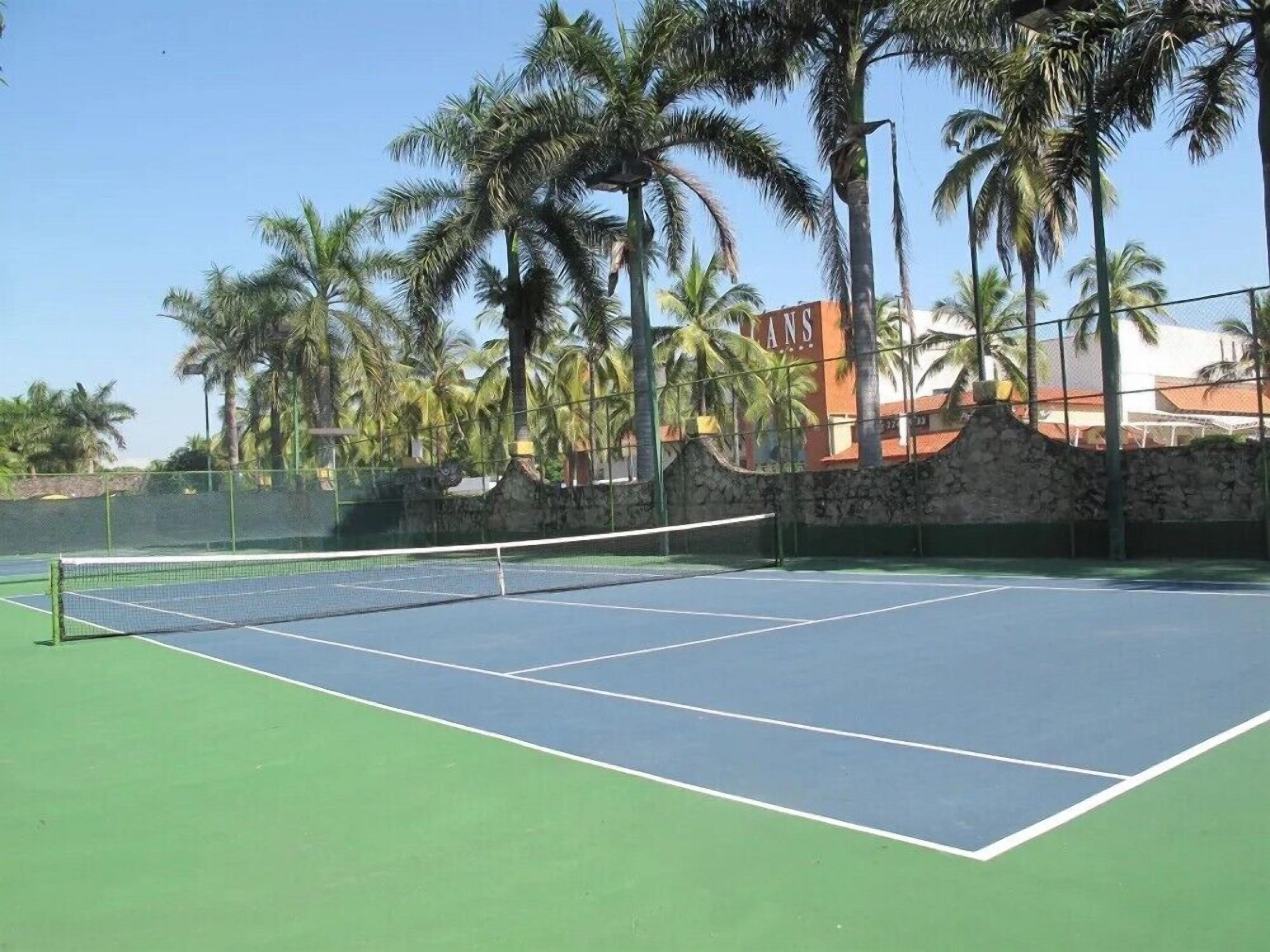 A tennis court with a net, surrounded by palm trees and a stone wall.