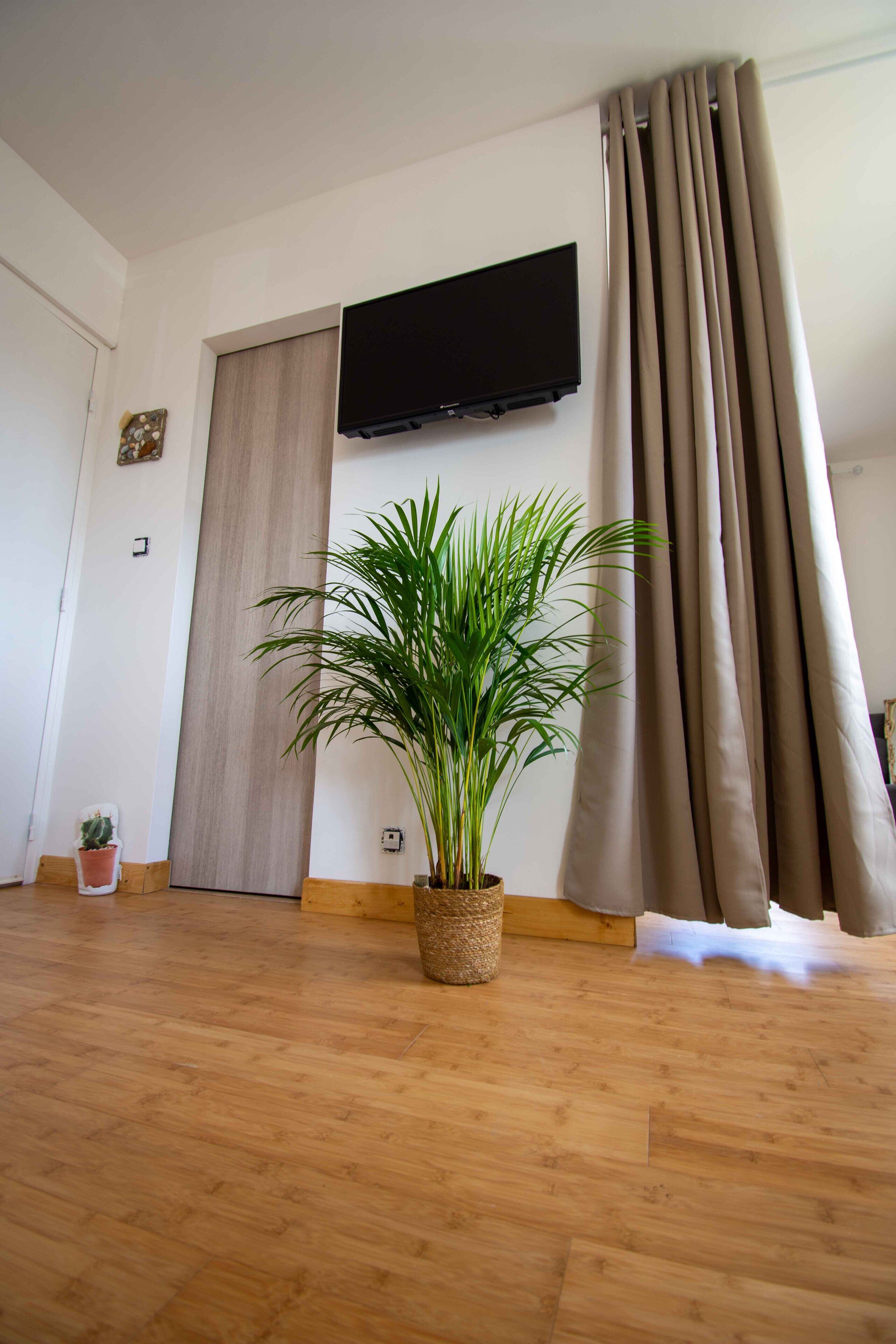 Suite Deluxe, salle de bains attenante (chambre dune) | 1 chambre