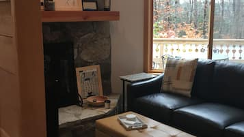 Smart TV, fireplace, books, computer monitors