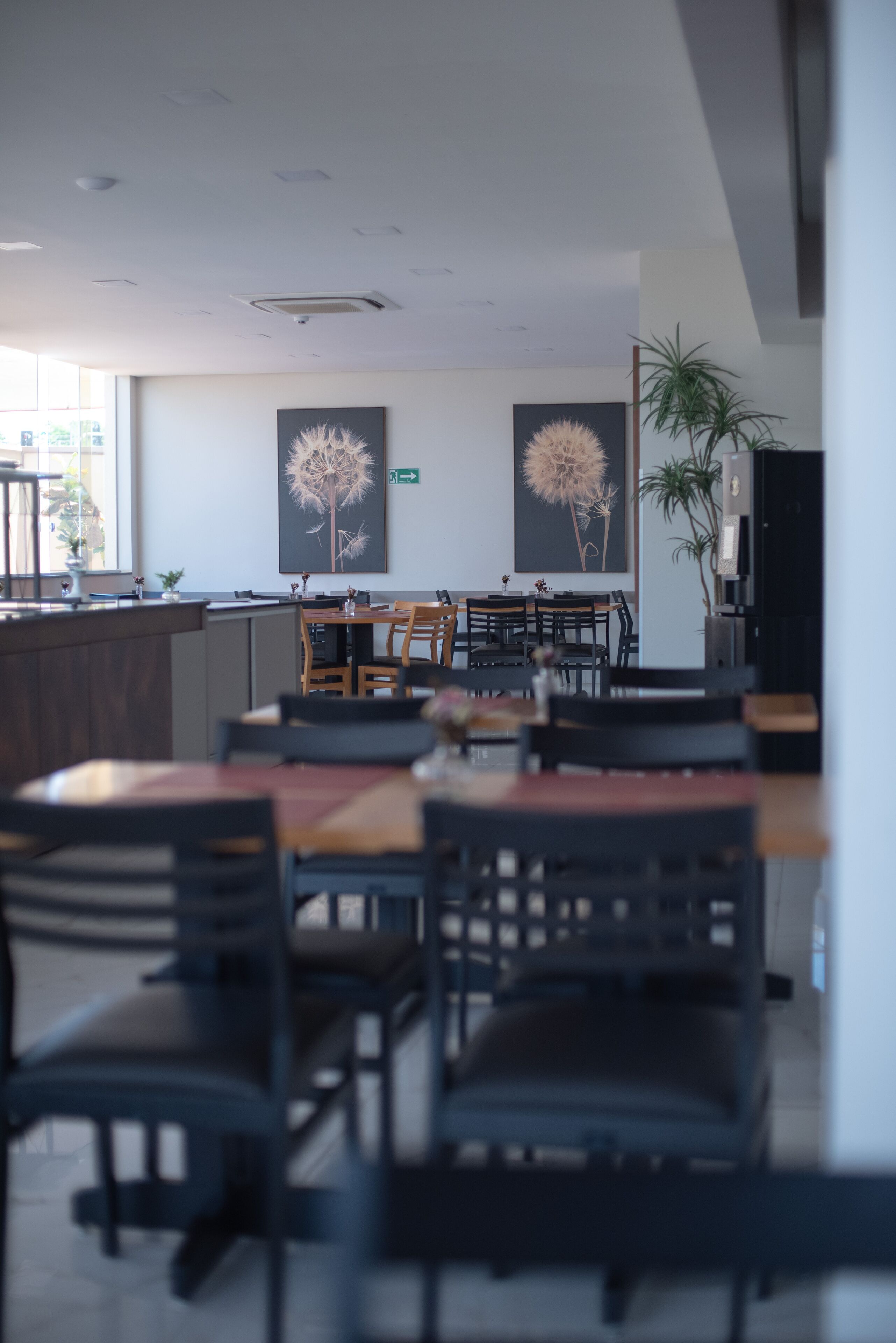 Un comedor moderno con mesas y sillas de madera, una planta grande en maceta y dos obras de arte colgando en la pared que representan diente de león.