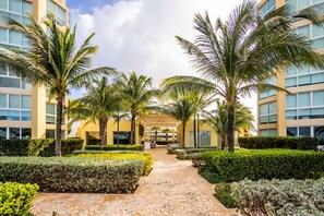 Un patio de hotel con palmeras, un camino de piedra y un paseo techado que conduce a un edificio con ventanas grandes.