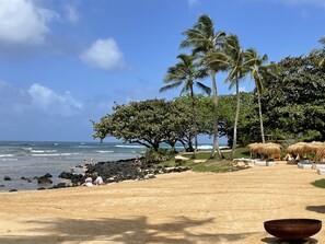 在海灘附近