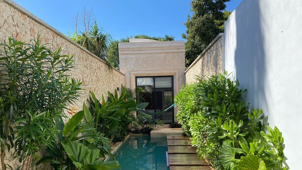 Una piscina estrecha con muelle de madera, rodeada de abundante vegetación y un muro de piedra.
