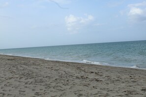 Playa en los alrededores