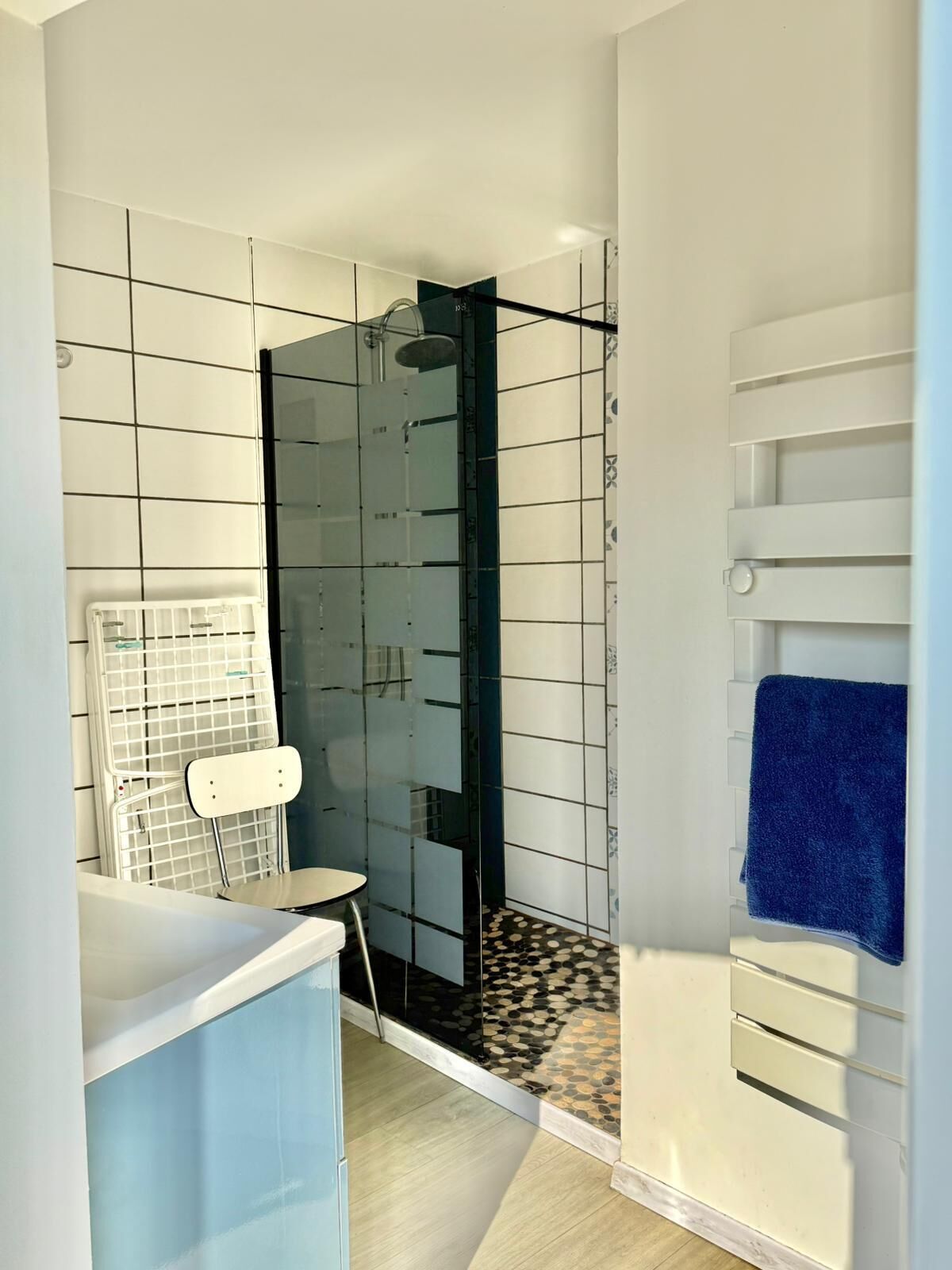 Shower, hair dryer, towels, toilet paper
