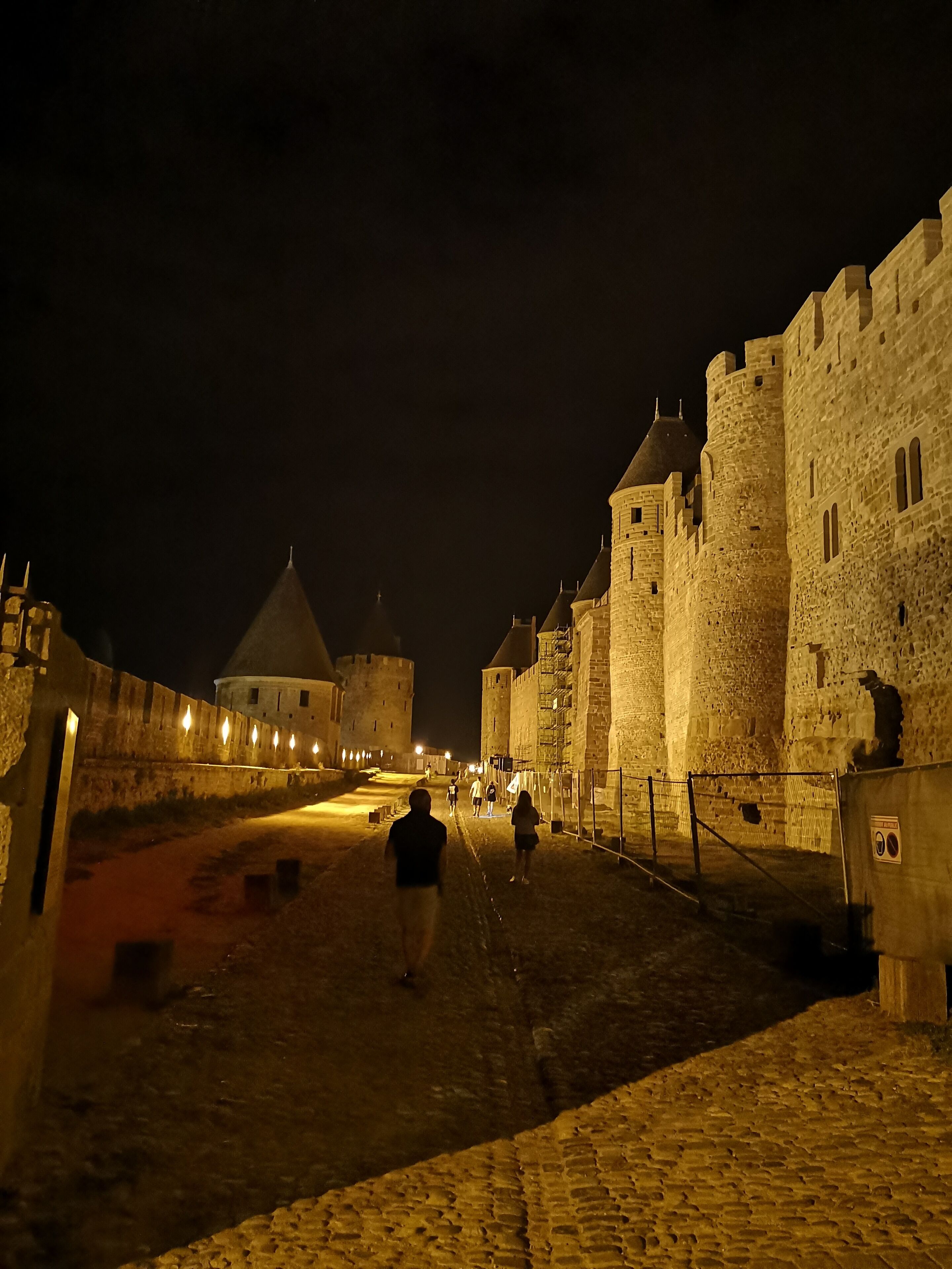 Eine historische Burg aus Stein mit einem Burggraben und einer Zugbrücke, mit einem großen, zentralen Turm und mehreren kleineren Türmen.