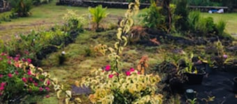 Private Room on Serene Property in Hilo
