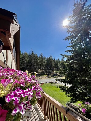 Property grounds - Newly remodeled and conveniently located! (Kalispell)