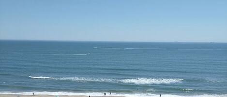 Sun-loungers, beach towels