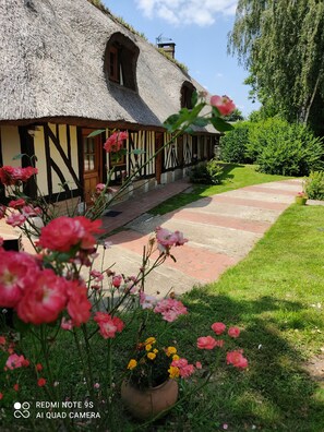 Área da propriedade