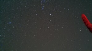 منوع