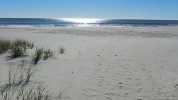 Una playa con arena y vegetación escasa.