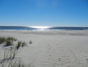 On the beach