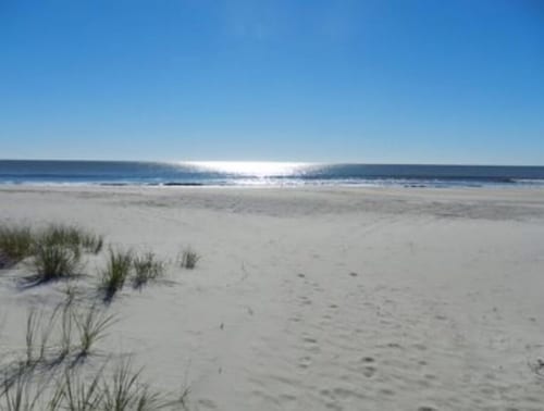 Sweet Carolina Cottage