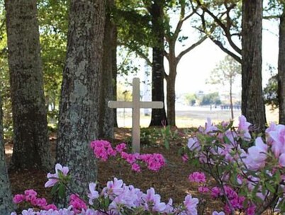 Sweet Carolina Cottage