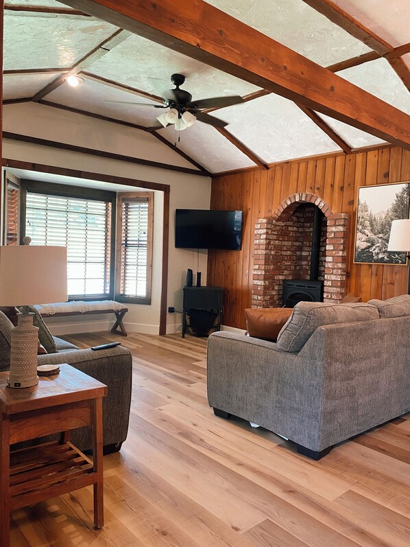 Smart TV, fireplace, books