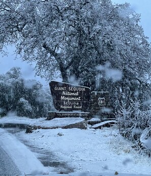 Un panneau indiquant le « Giant Sequoia National Monument », avec en arrière-plan des arbres couverts de neige.