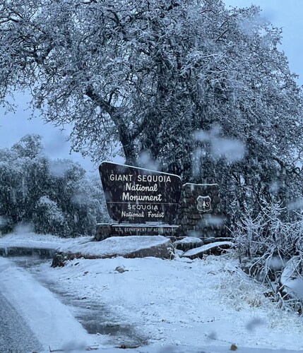 Sequoia Escape . Close to The  Springville Ranch Venue & Sequoia Nat. Park.