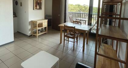 Seignosse Ocean, apartment in the heart of the resort, beach 200m away, sleeps 4