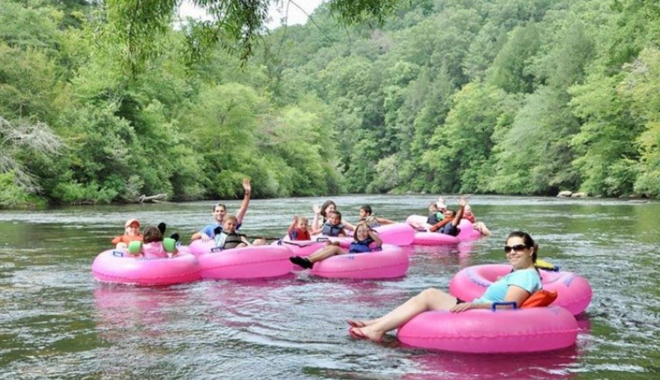 People floating on pink inflatable tubes in a river surrounded by dense green forest.