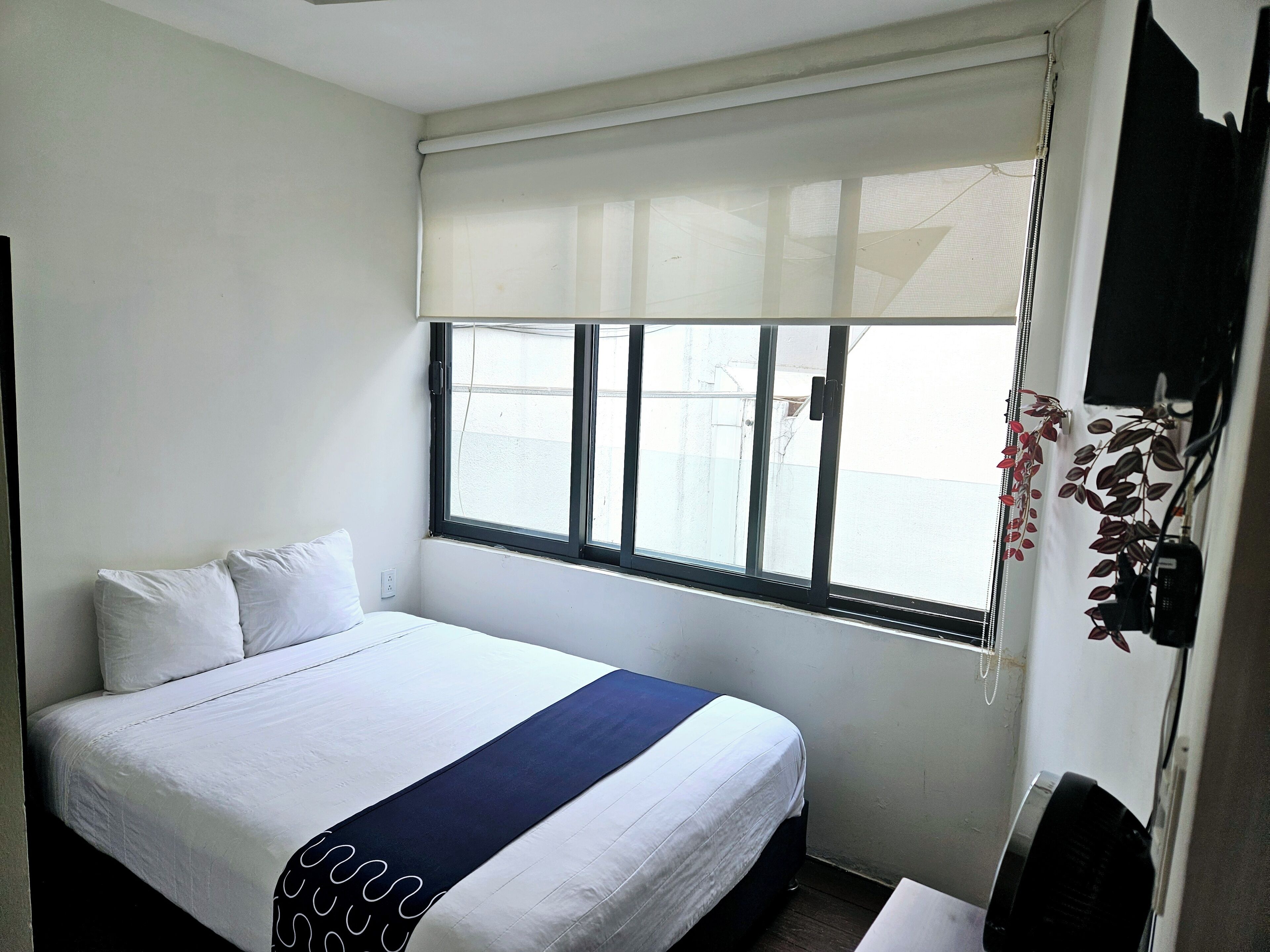 Foto - Singular Sócrates