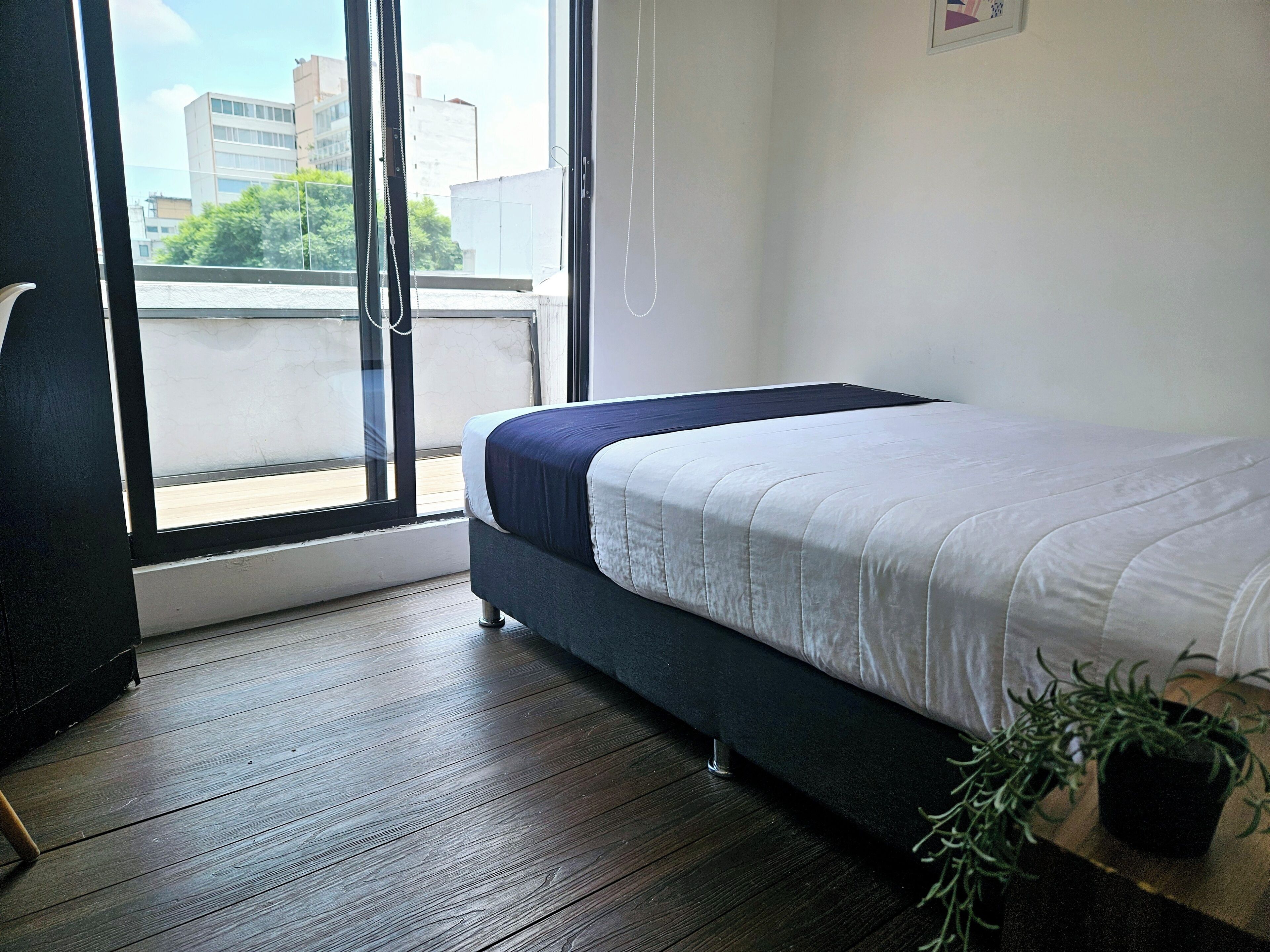 Foto - Singular Sócrates