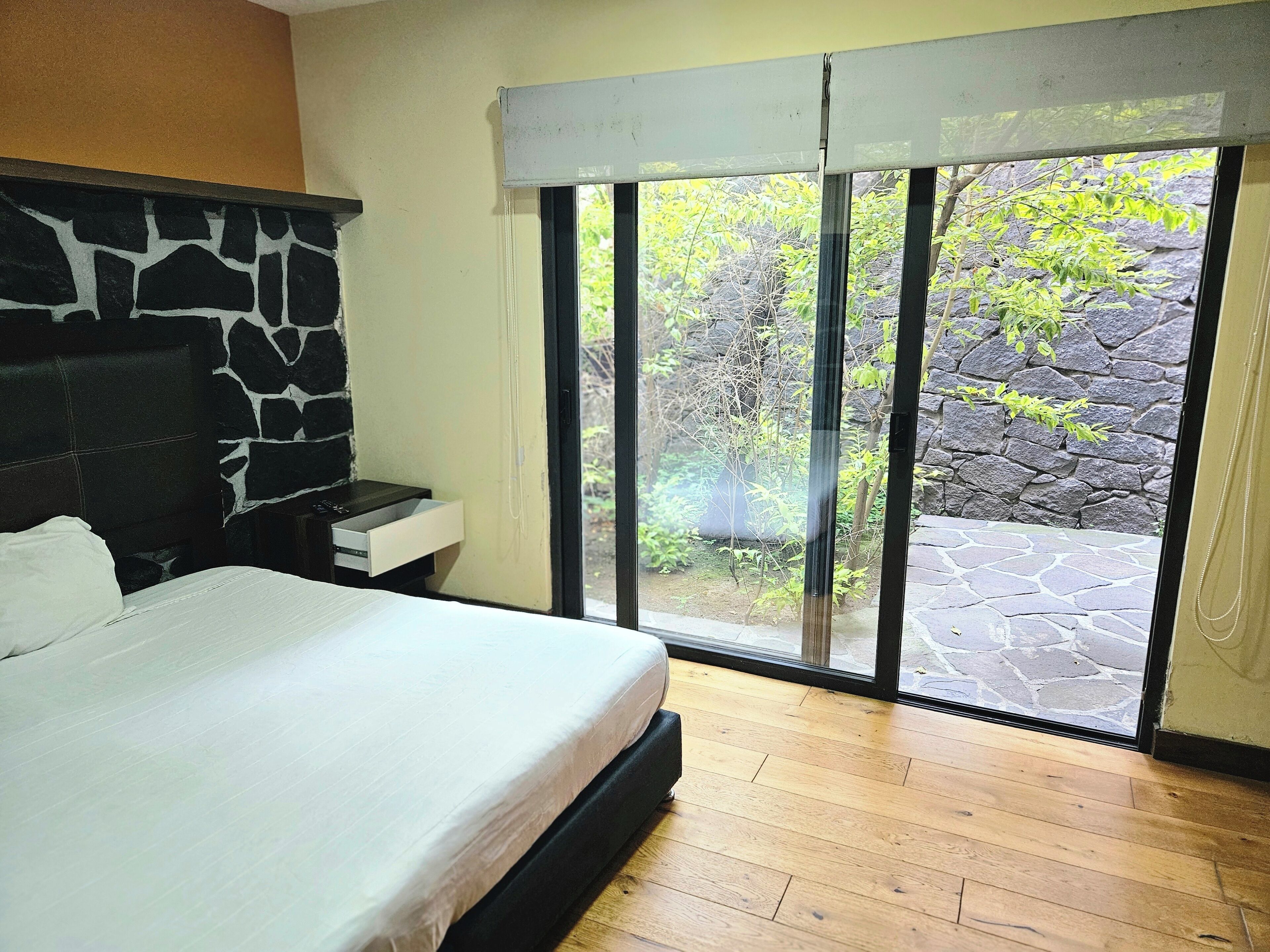 Foto - Singular Sócrates