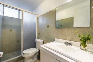 Enjoy a refreshing shower in this bathroom with a walk-in shower, toilet, and sink area.