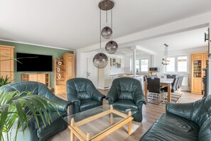 Fernseher, Kamin