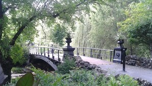 Un pont en pierre doté d’une rambarde métallique, entouré d’une végétation luxuriante et bordé d’un mur de pierre.