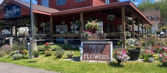 Downtown Savanna/Galena-area gem w/3-season room!