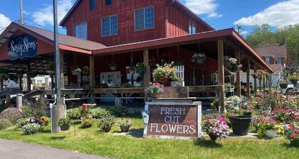 Downtown Savanna/Galena-area gem w/3-season room!