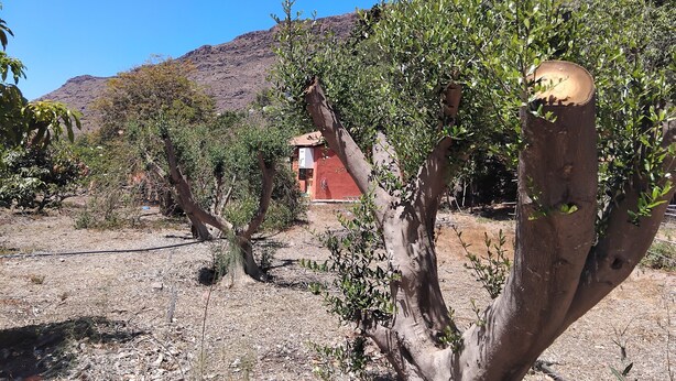 A dry, arid landscape with sparse vegetation, a red building, and a mountain in the background. - Country Cabin "Finca Nim 2" on a Farm with Mountain View, Pool & Wi-Fi (Mogán)
