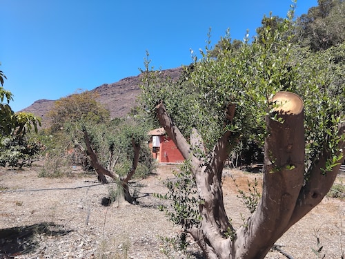 Bungalow dans une ferme "Finca Nim 2", vue sur la montagne, piscine et Wi-Fi