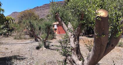 Bungalow dans une ferme "Finca Nim 2", vue sur la montagne, piscine et Wi-Fi