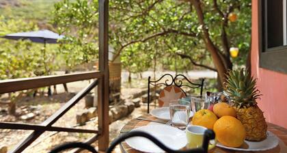 Country Cabin "Finca Nim 1" on a Farm with Mountain View, Pool & Wi-Fi