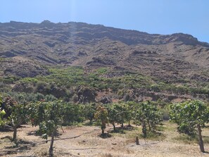 Miscellaneous - Country Cabin "Finca Nim 1" on a Farm with Mountain View, Pool & Wi-Fi (Mogán)