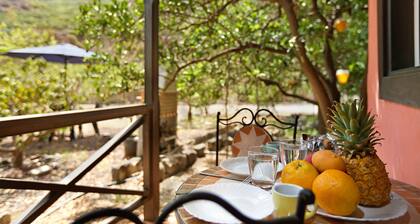 Cabane de campagne "Finca Nim 1" dans une ferme, avec vue sur les montagnes, piscine et Wifi