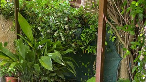 Casa, 2 quartos, sacada | Terraço/pátio