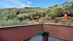 Un balcón con una planta en maceta, un muro de piedra y vistas a una colina con vegetación.