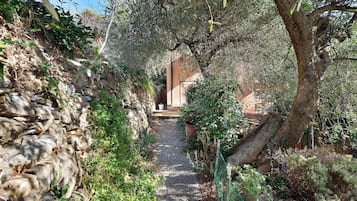 Terrain de l’hébergement